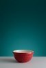 Misa ceramiczna 21 cm 1,1L IN THE FOREST HEDGEHOG RED / Mason Cash